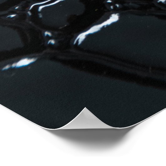 Close-up zwarte slang huidtextuur poster (Hoek)