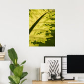 Close-upfoto van Dieffenbachia Poster (Thuiskantoor)
