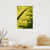 Close-upfoto van Dieffenbachia Poster (Keuken)