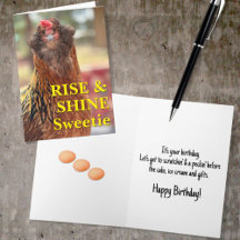 Close-upfoto van een baardkip