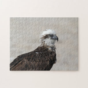 Close-upfoto van een visarend legpuzzel