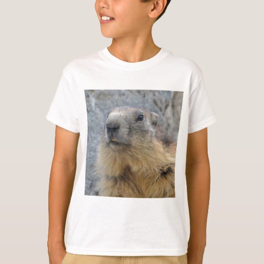 Closeup Alpine marmot T-shirt (Voorkant)
