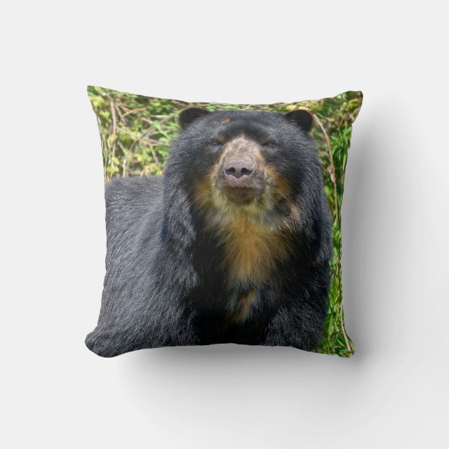 Closeup Andean beer Kussen (Voorkant)