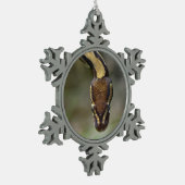 Closeup ball pythonPostcard Briefkaart Tin Sneeuwvlok Ornament (Links)