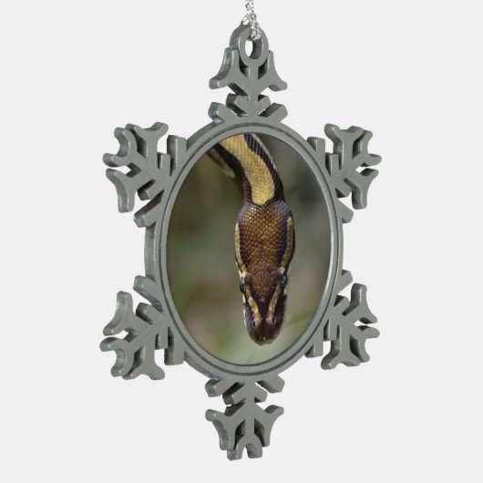 Closeup ball pythonPostcard Briefkaart Tin Sneeuwvlok Ornament (Links)