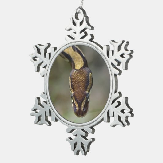 Closeup ball pythonPostcard Briefkaart Tin Sneeuwvlok Ornament (Rechts)