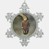 Closeup ball pythonPostcard Briefkaart Tin Sneeuwvlok Ornament (Voorkant)