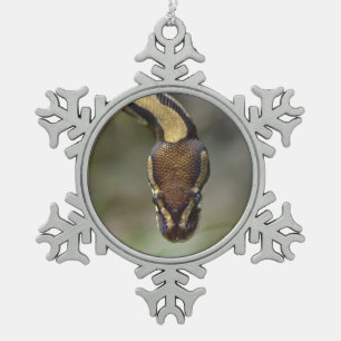 Closeup ball pythonPostcard Briefkaart Tin Sneeuwvlok Ornament