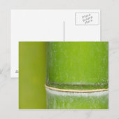 Closeup Bamboo Stalk Briefkaart (Voorkant / Achterkant)