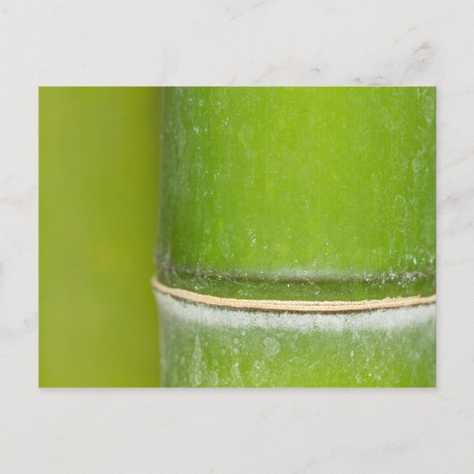 Closeup Bamboo Stalk Briefkaart (Voorkant)