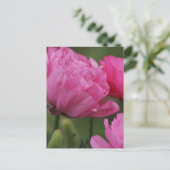 Closeup Deep Peony Pink Ranunculus Briefkaart (Staand voorkant)