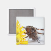 Closeup Dragonfly Face en Gele Dandelion Flower Magneet (Voorkant / Achterkant)