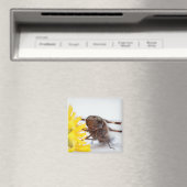 Closeup Dragonfly Face en Gele Dandelion Flower Magneet (Insitu (Vaatwasser))