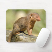 Closeup dwarf mongans briefkaart vierkant me muismat (Met muis)