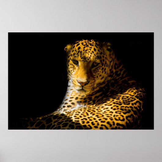 CLOSEUP FOTO VAN LEOPARD POSTER (Voorkant)