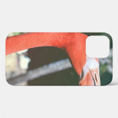 Closeup foto van rode langnekvogel Case-Mate iPhone case (Achterkant (horizontaal))
