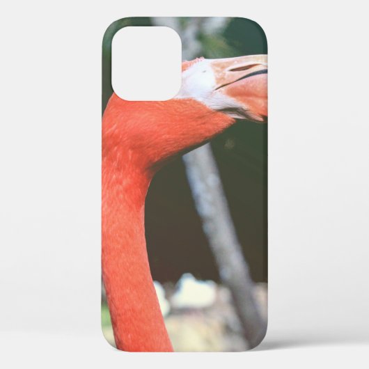 Closeup foto van rode langnekvogel Case-Mate iPhone case (Achterkant)