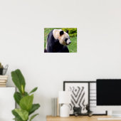 Closeup gigantische panda uit profiel poster (Thuiskantoor)