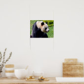 Closeup gigantische panda uit profiel poster (Keuken)