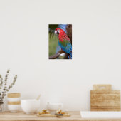 Closeup green-winged macaw poster (Keuken)