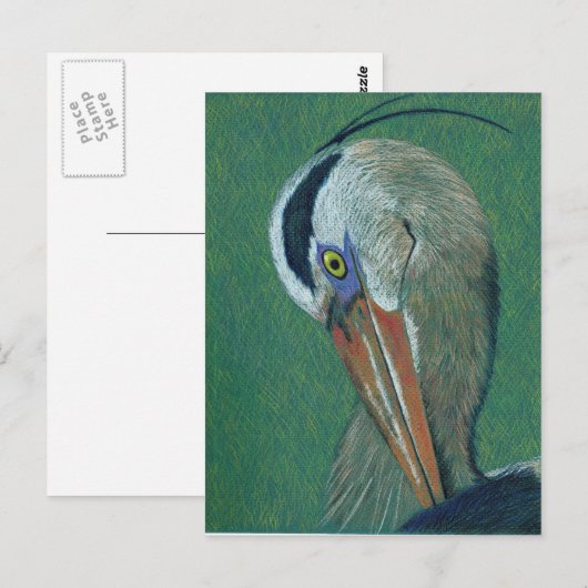 Closeup Heron Briefkaart (Voorkant / Achterkant)