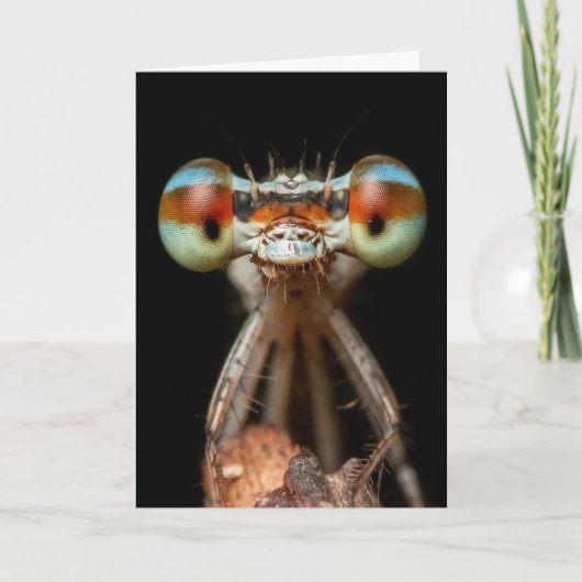 CLOSEUP-KAART VOOR SNELLING KAART (Voorkant)