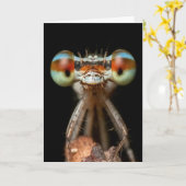 CLOSEUP-KAART VOOR SNELLING KAART (Gele Bloem)