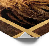 Closeup Lion Photo Poster (Hoek)