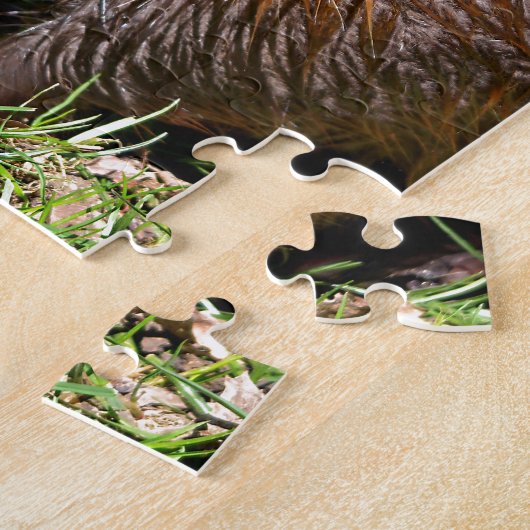 Closeup North American Beaver Legpuzzel (Zijkant)