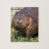 Closeup North American Beaver Legpuzzel (Verticaal)