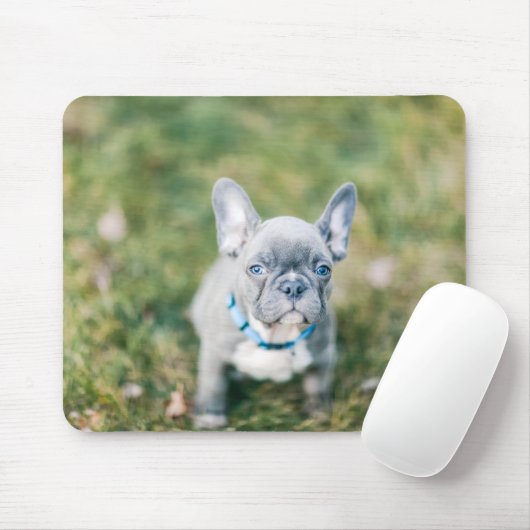 Closeup of a French Bulldog Muismat (Met muis)