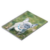 Closeup of a French Bulldog Notitieboek (Linkerzijde)