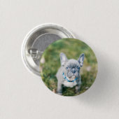 Closeup of a French Bulldog Ronde Button 3,2 Cm (Voorkant /achterkant)