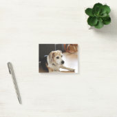 Closeup of Healthy Beagle Puppy Post-it® Notes (Kantoor)