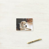 Closeup of Healthy Beagle Puppy Post-it® Notes (Op bureau)