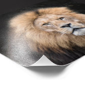 Closeup Portrait of a Male Lion Foto Afdruk (Hoek)