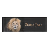 Closeup Portrait of a Male Lion Naambadge (Voorkant)