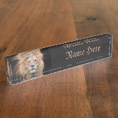 Closeup Portrait of a Male Lion Naambordje (Zijkant)