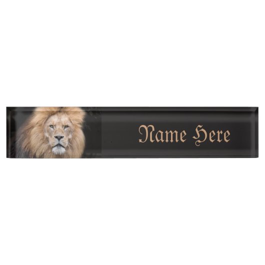 Closeup Portrait of a Male Lion Naambordje (Voorkant)