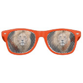 Closeup Portrait of a Male Lion Retro Zonnebril (Voorkant)