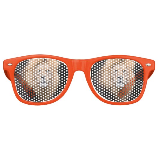 Closeup Portrait of a Male Lion Retro Zonnebril (Voorkant)