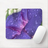 Closeup Purple Dewdrop Morning Glory Close-up Muismat (Met muis)