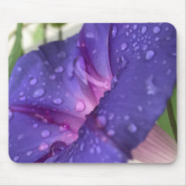 Closeup Purple Dewdrop Morning Glory Close-up Muismat