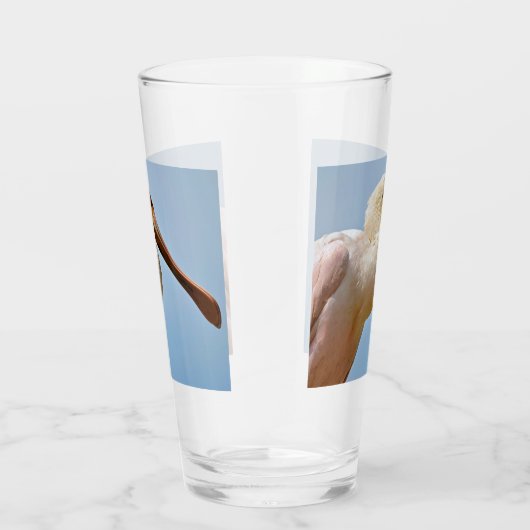 Closeup Roseate Spoonbill Glas (Rechts)