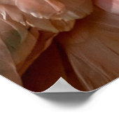 Closeup Roseate Spoonbill Poster (Hoek)