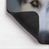 Closeup Stoic Gaze of an Alaskan Malamute Muismat (Hoek)