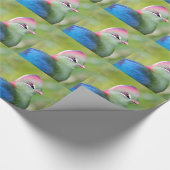 Closeup turaco of fischer cadeaupapier (Hoek)