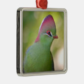 Closeup turaco of fischer metalen ornament (Rechts)
