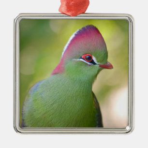 Closeup turaco of fischer metalen ornament