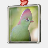 Closeup turaco of fischer metalen ornament (Links)
